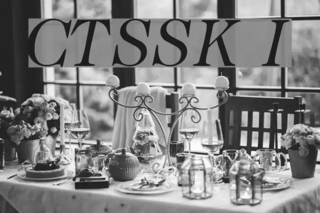 CaslonTwoSSK Italic Font examples