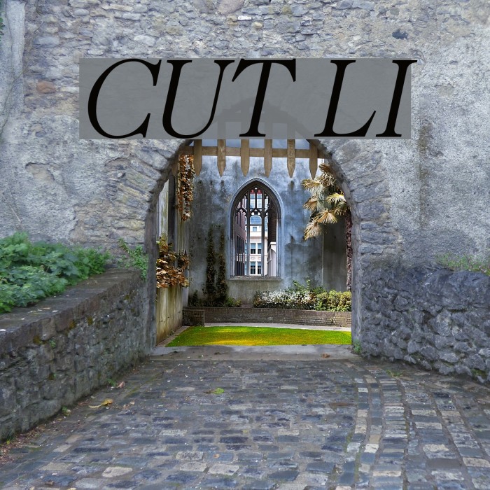 CaslonUT LightItalic Font examples
