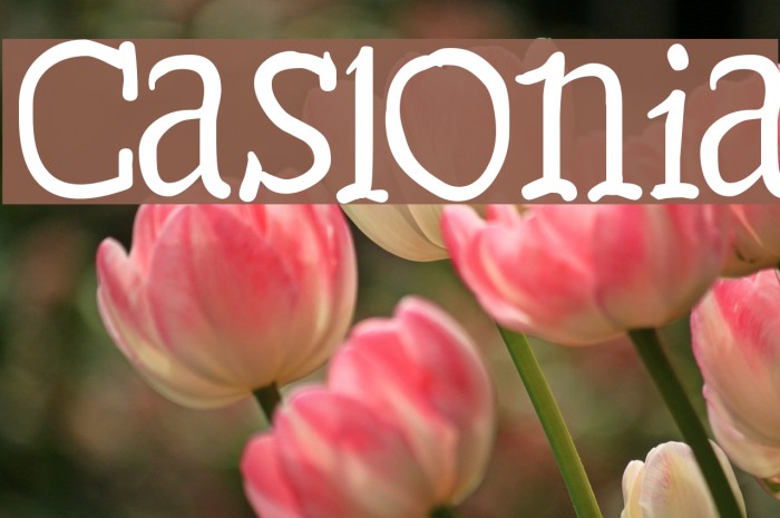 Caslonia Font examples