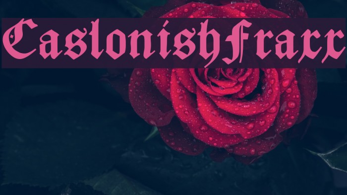 CaslonishFraxx Font examples