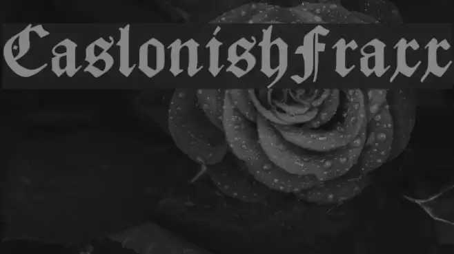 CaslonishFraxx Fonte examples