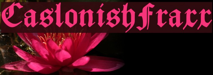 CaslonishFraxx Font examples