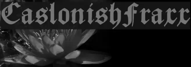 CaslonishFraxx Fonte examples
