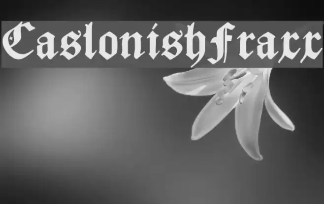 CaslonishFraxx Fonte examples