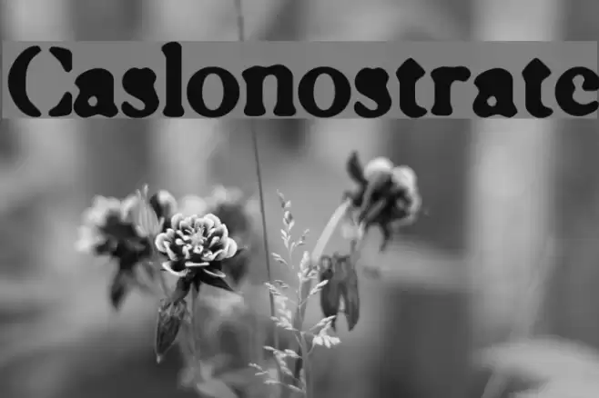 Caslonostrate Font examples