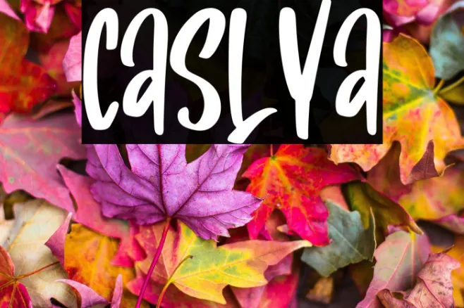 Caslya Example 2