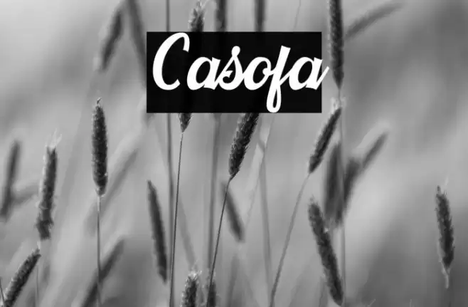 Casofa Font examples