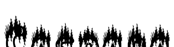 Caspana Font