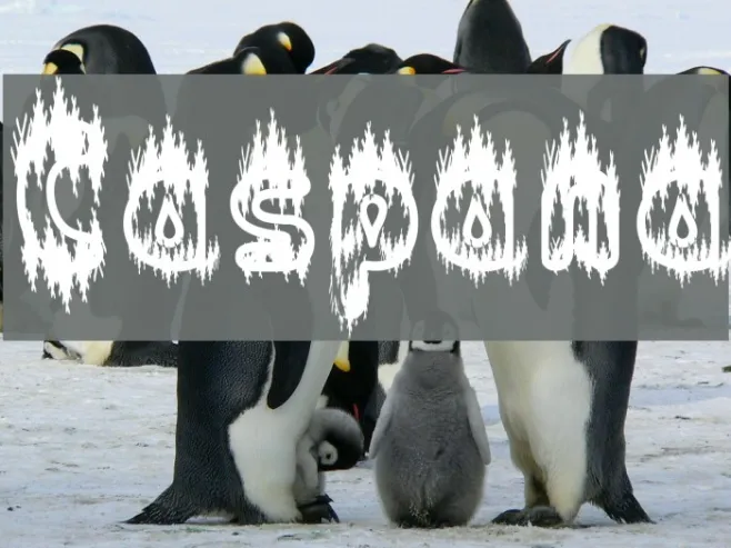 Caspana Example 3