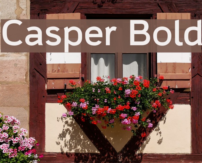Casper Bold Font examples
