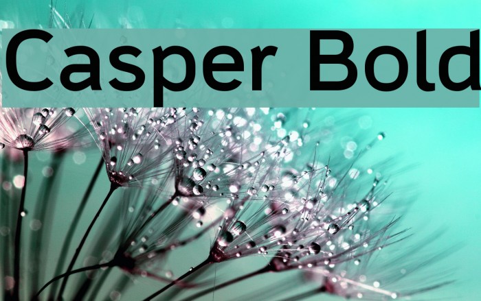 Casper Bold Font examples