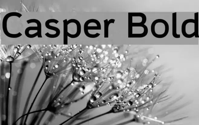 Casper Bold Font examples