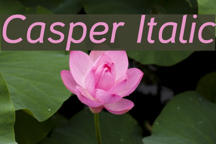 Italics examples