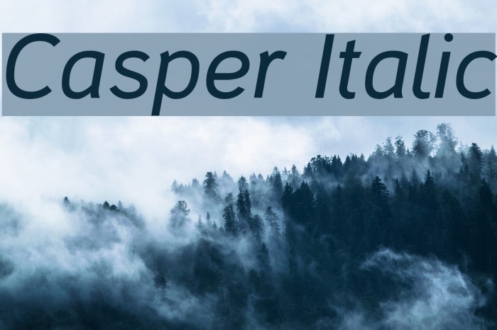 Casper Italic Font examples