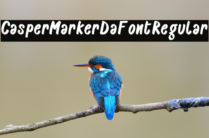 CasperMarkerDaFontRegular Example 3