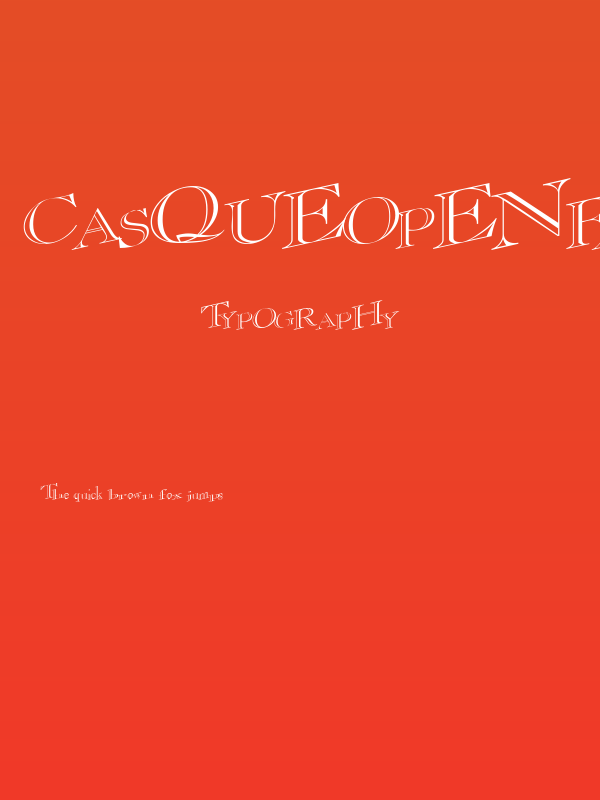 CasqueOpenFaceWacky Poster