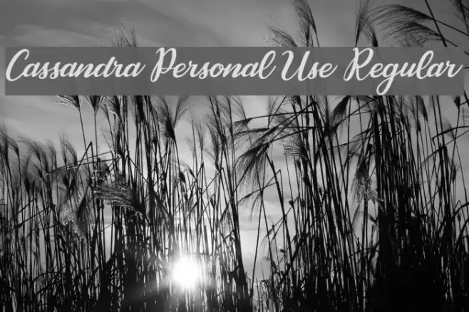 Cassandra Personal Use Regular Font examples