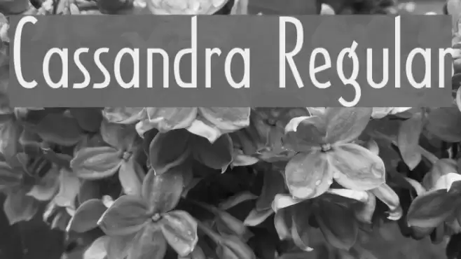 Cassandra Regular フォント examples
