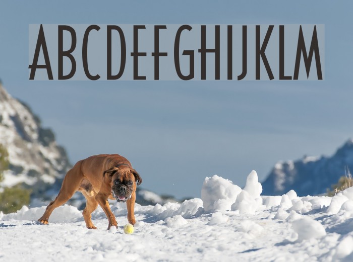 CassandraConden Font examples