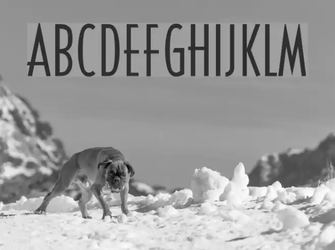 CassandraConden フォント examples