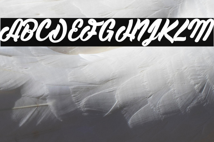 Cassandre light2_PersonalUseOnly Example 3