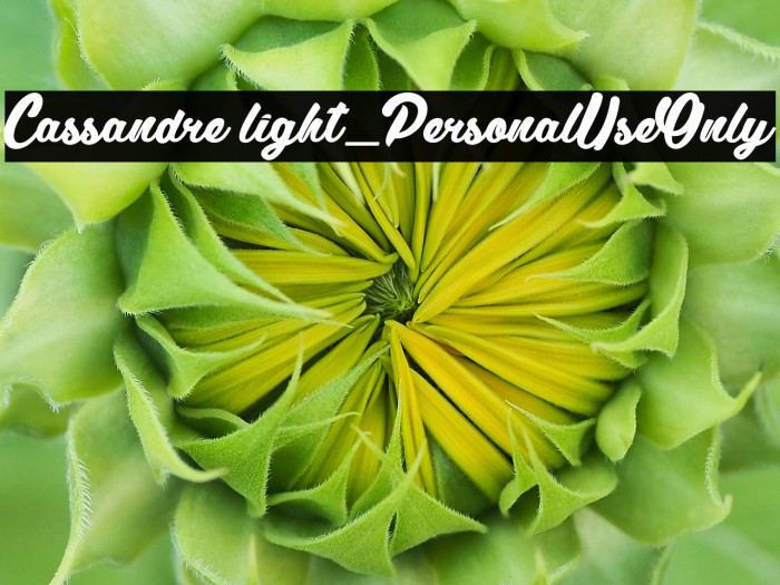 Cassandre light_PersonalUseOnly Example 2