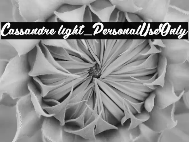 Cassandre light_PersonalUseOnly Font examples