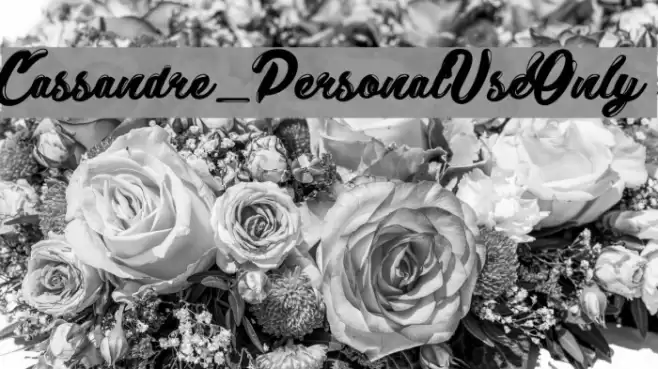 Cassandre_PersonalUseOnly Font examples