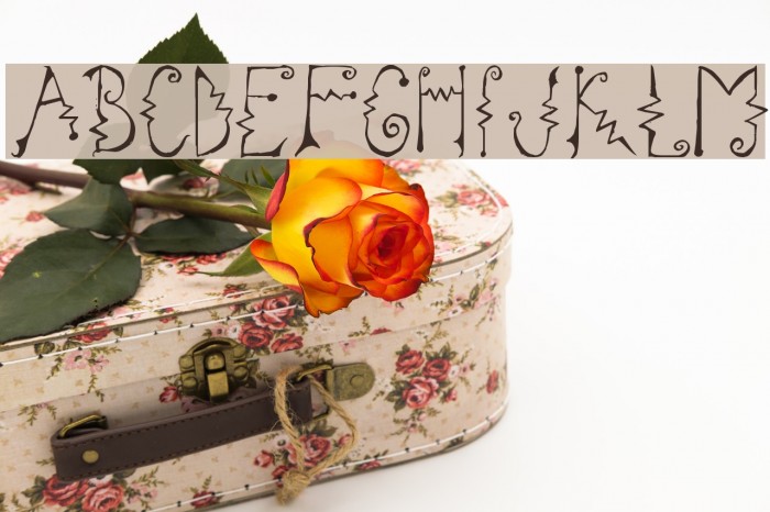 Cassatta Zig Font examples