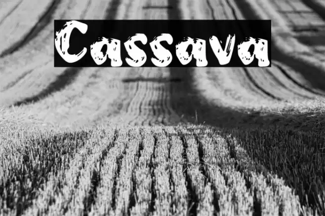 Cassava Font examples