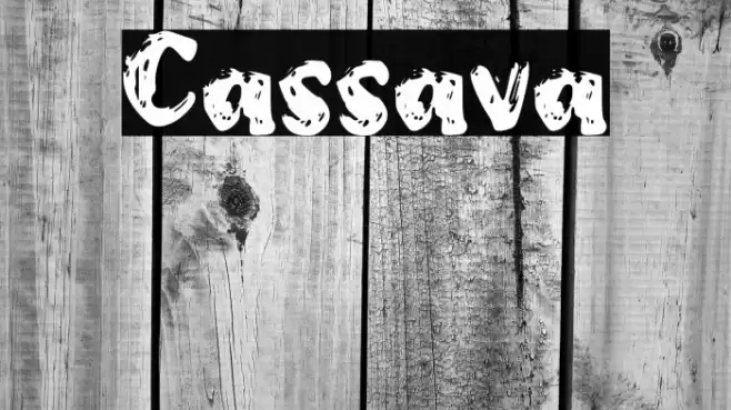 Cassava Font examples
