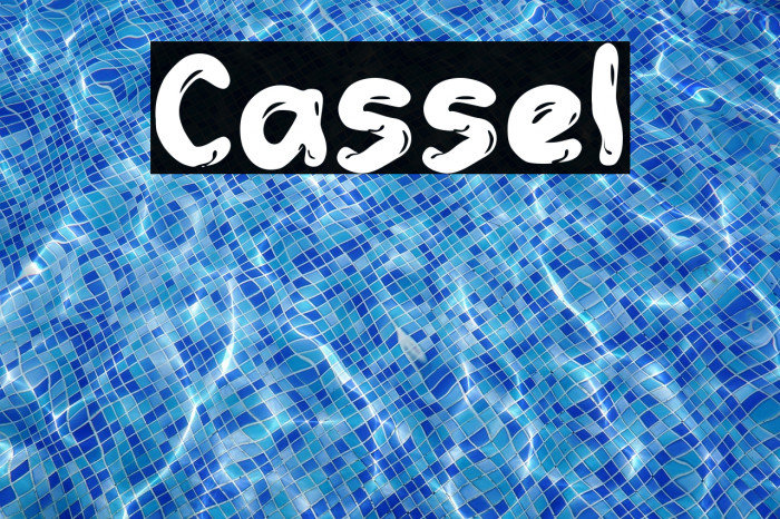 Cassel Example 2
