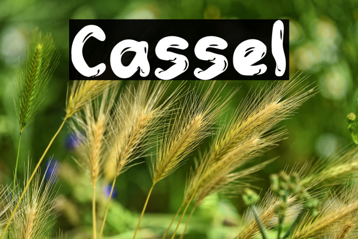 Cassel Example 3