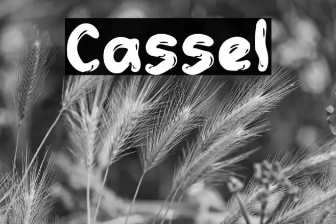 Cassel Font examples