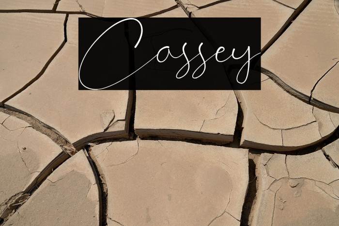 Cassey Example 3