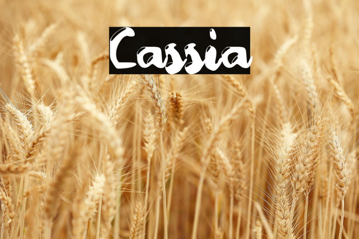 Cassia Example 1