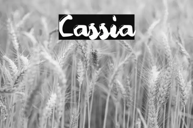 Cassia Font examples