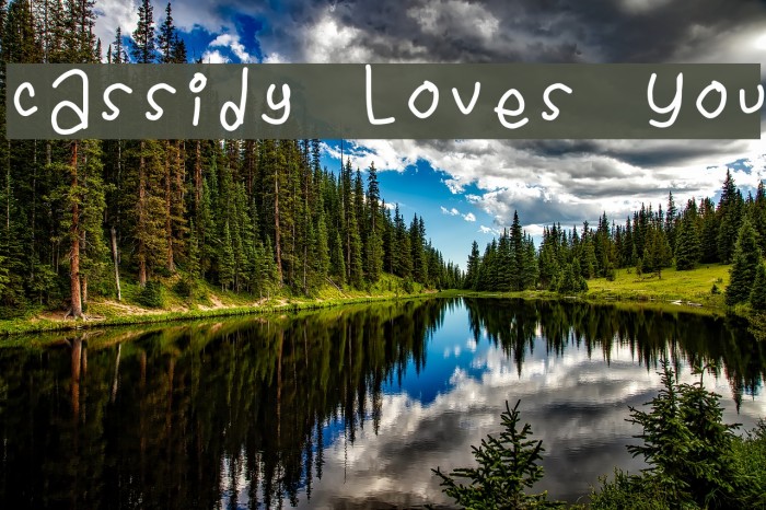 Cassidy Loves You Font examples