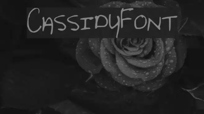 CassidyFont Font examples