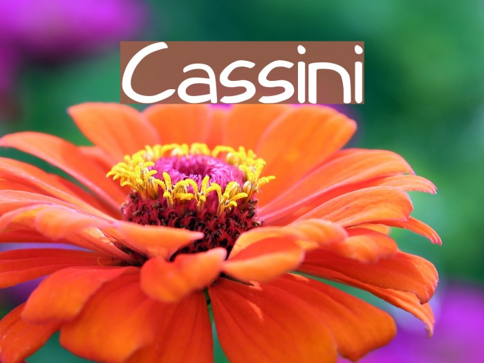 Cassini Font examples