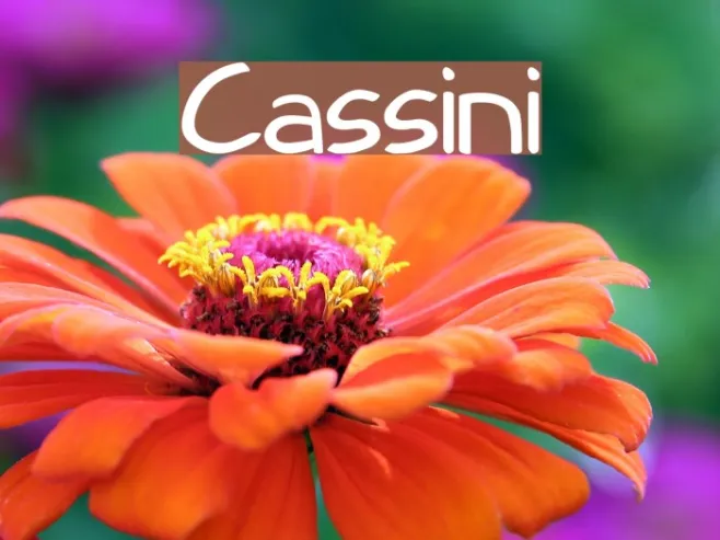 Cassini Example 2