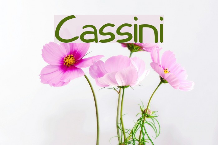 Cassini Font examples