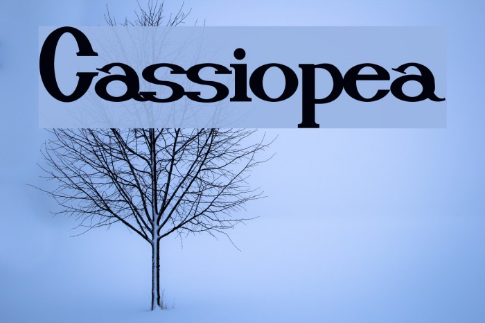 Cassiopea Font examples