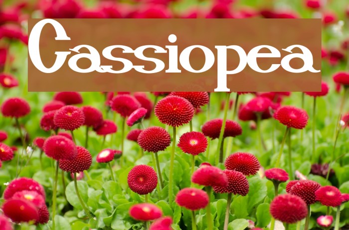 Cassiopea Font examples