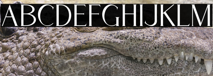 Cassiopeia Example 2