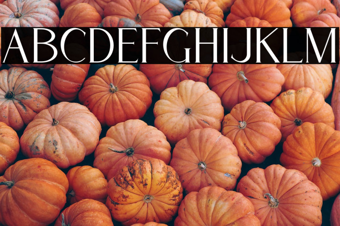 Cassiopeia Example 3