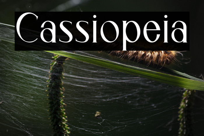 Cassiopeia Example 1