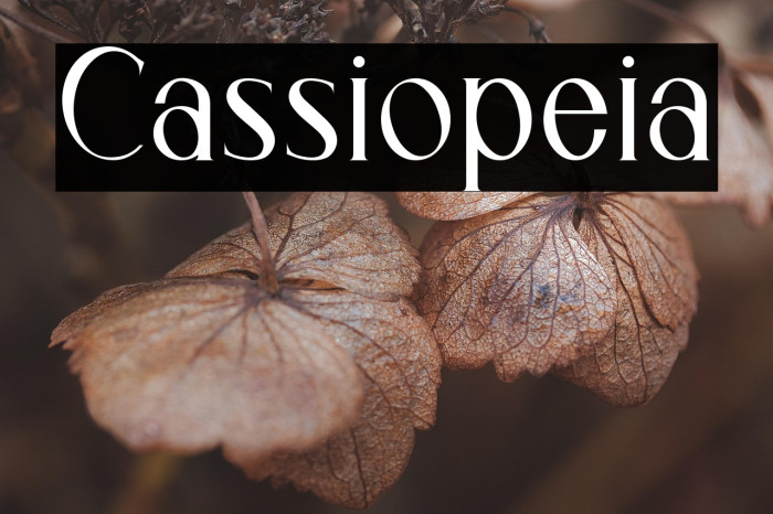 Cassiopeia Example 3