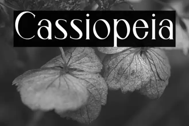 Cassiopeia Font examples