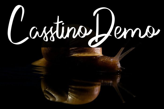 CasstinoDemo Example 2